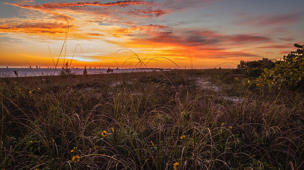 Florida Art Print featuring the photograph Sunset #1 by Jane Luxton