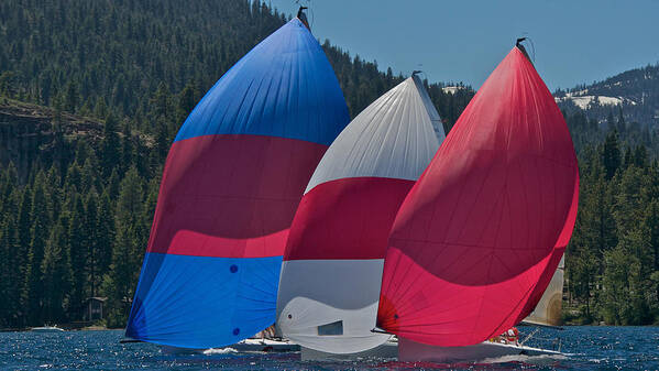 Lake Tahoe Art Print featuring the photograph Lake Tahoe Spinnakers #3 by Steven Lapkin