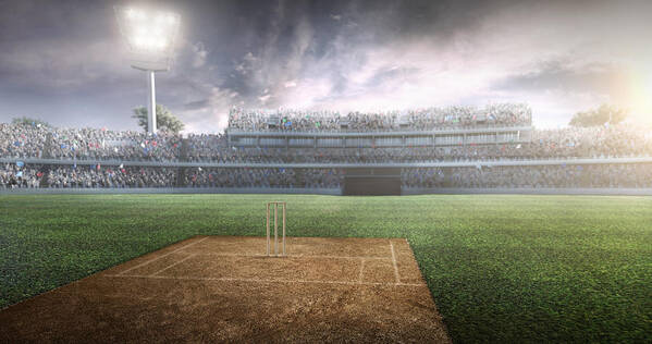 Grass Art Print featuring the photograph Cricket: Cricket stadium #5 by Aksonov