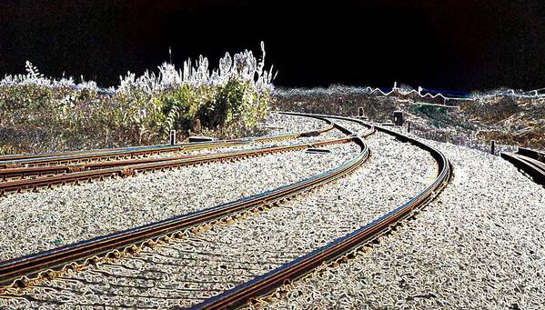 Macro Art Print featuring the photograph Rails of Hope by Dave Byrne