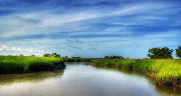 Marsh Art Print featuring the photograph A Marsh at Jekyll Island by Greg and Chrystal Mimbs