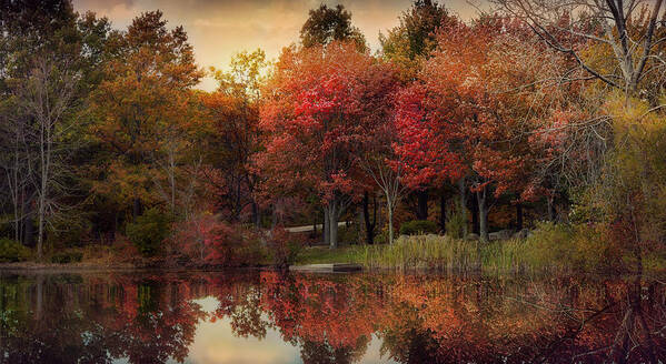 Autumn Art Print featuring the photograph Autumn On The River by Robin-Lee Vieira