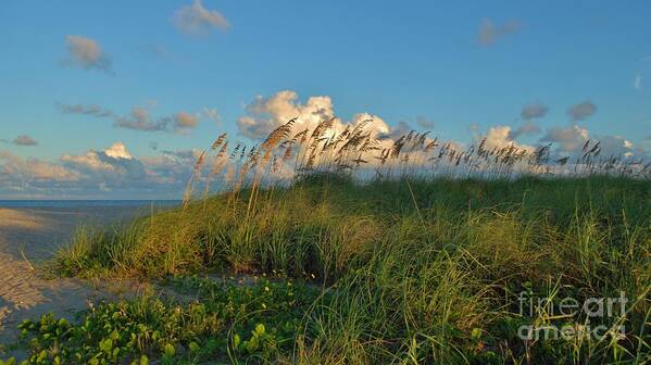 Blue Art Print featuring the photograph Beach Greenery Panorama by Bob Sample