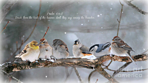  Art Print featuring the photograph Birds on a Branch by Lila Fisher-Wenzel