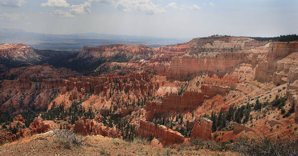 Bryce Canyon Art Print featuring the photograph Bryce Vista by Joseph G Holland