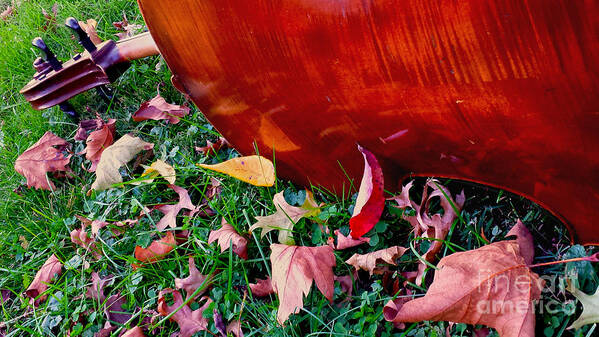 Cello Art Print featuring the photograph Cello in Autumn by Anna Lisa Yoder