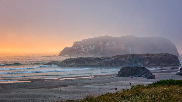 Bandon Art Print featuring the photograph Devil's Kitchen by Carrie Cole