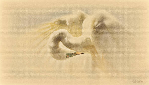 Great Egret Art Print featuring the photograph Ethereal Egret by Ola Allen