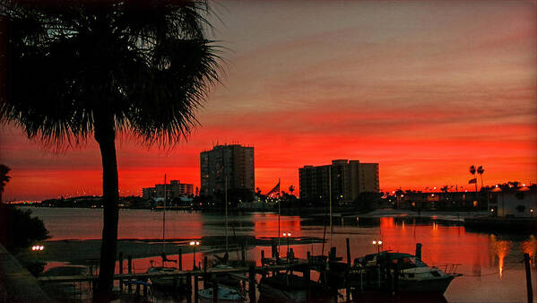 Sunset Art Print featuring the photograph Florida Sunset by Hanny Heim