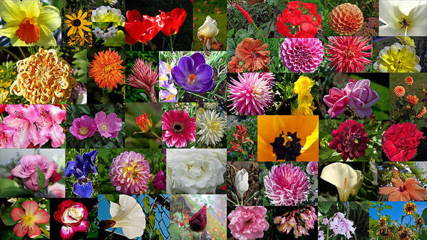 Flower Art Print featuring the photograph Flower Garden Bouquet by Tikvah's Hope