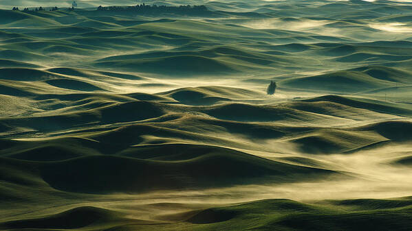 The Palouse Art Print featuring the photograph Fog at the Palouse by Dan Mihai