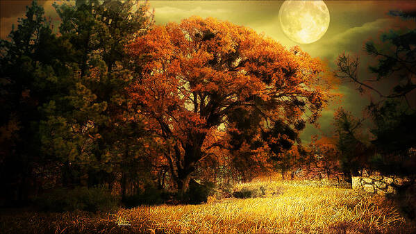 Landscape Art Print featuring the photograph Full Moon Oak by Douglas MooreZart