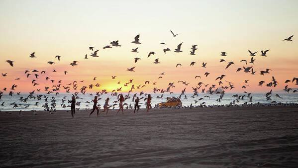 Manhattan Beach Art Print featuring the photograph Girls Chasing Seagulls On Beach At by Julie Daniels Photography