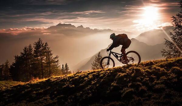 Mtb Art Print featuring the photograph Golden Hour Biking by Sandi Bertoncelj