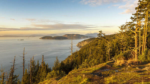 Golden Hour Art Print featuring the photograph Golden Hour on the Salish Sea by Tony Locke