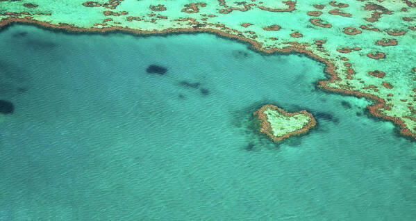 Scenics Art Print featuring the photograph Heart Reef by Kokkai Ng