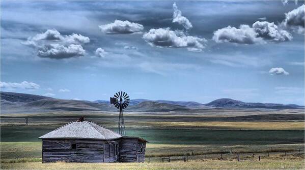 Windmill Art Print featuring the photograph Homestead by Donald J Gray
