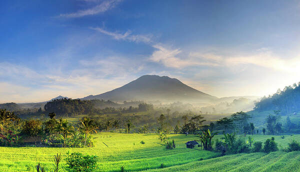 Scenics Art Print featuring the photograph Indonesia, Bali, Rice Fields And Agung by Michele Falzone