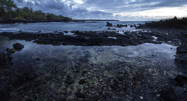 Tide Pools Art Print featuring the photograph La Perouse Tide Pools by Brad Scott