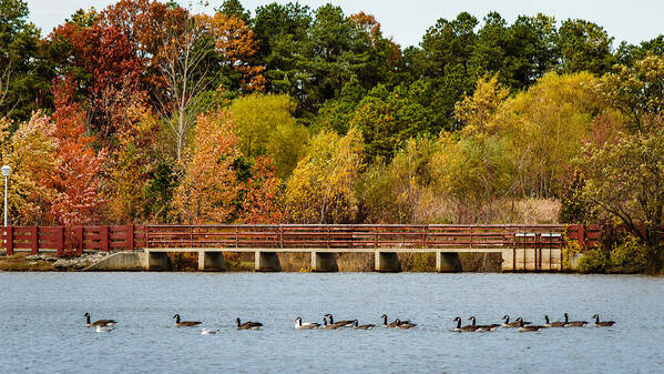 John F Kennedy Memorial Park Art Print featuring the photograph Lake at Kennedy Park by SAURAVphoto Online Store