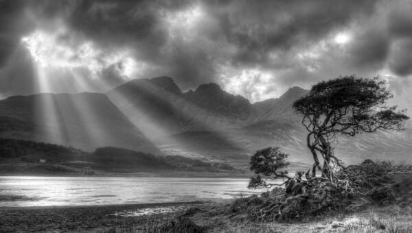 Scottish Landscapes Art Print featuring the photograph Lonely tree. Landscape of the Scottish Highlands in Scotland by Michalakis Ppalis
