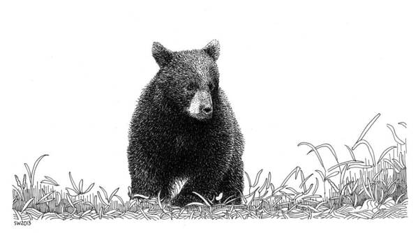 Pen Art Print featuring the drawing Little Bear by Scott Woyak