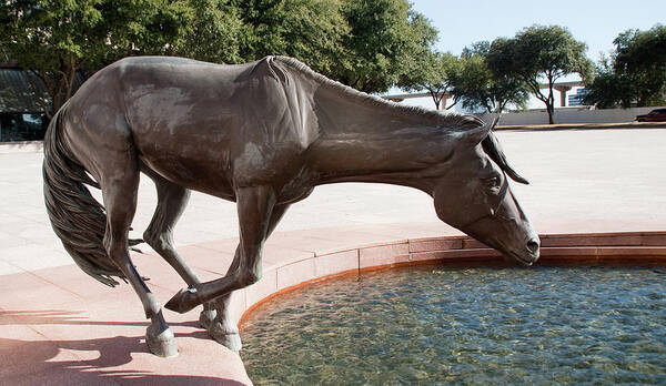 Sculptures Art Print featuring the photograph Los Colinas Mustangs 14687 by Guy Whiteley