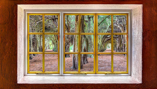 Architecture Art Print featuring the photograph Magical Trees by Semmick Photo