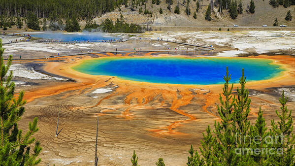 National Art Print featuring the photograph Grand Prismatic Geyser Yellowstone National Park by Edward Fielding