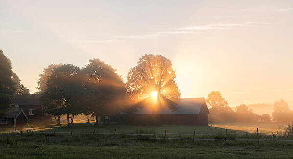 Countryside Art Print featuring the photograph Morning Has Broken by Christian Lindsten