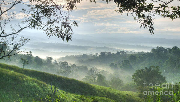 Landscape Art Print featuring the photograph Morning Mist by Heiko Koehrer-Wagner