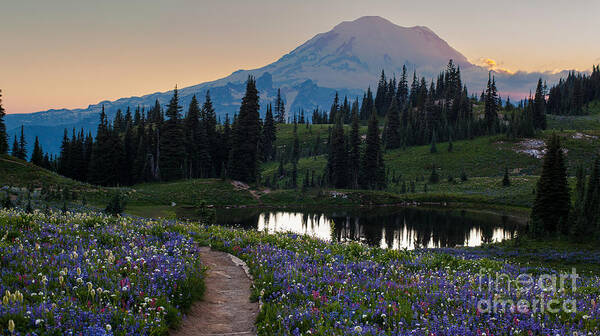 Mount Rainier Art Print featuring the photograph Naches Loop Meadows by Mike Reid