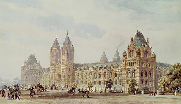 Waterhouse Art Print featuring the painting Natural History Museum by Alfred Waterhouse