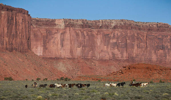 Mustangs Monument 2012 Art Print featuring the photograph Navajo Mustangs by Diane Bohna