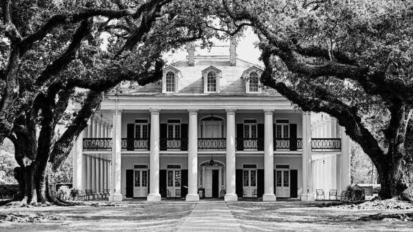 Oak Alley Plantation Art Print featuring the photograph Oak Alley Mansion Black and White by Photography By Sai