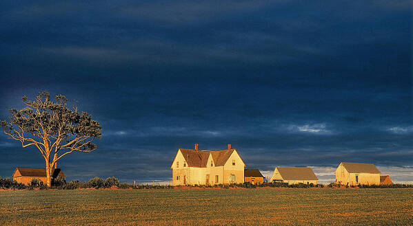 Lobster Art Print featuring the photograph Old Wheat Farm by Buddy Mays