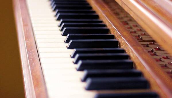 Landscape Art Print featuring the photograph Piano Keys of Old by Morgan Carter