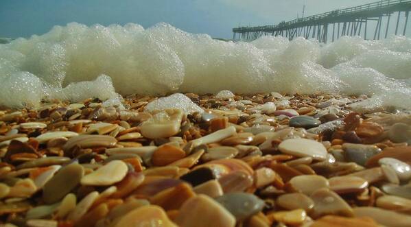 Mark Lemmon Cape Hatteras Nc The Outer Banks Photographer Subjects From Sunrise Art Print featuring the photograph Pier Foam and Shells 5 10/13 by Mark Lemmon