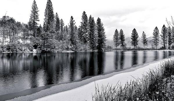 Weather Art Print featuring the photograph Pond In Snow by Julia Hassett