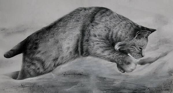 Bobcat Art Print featuring the drawing Pounce by Jean Cormier