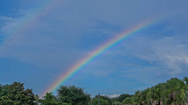 Rainbow Art Print featuring the photograph Rainbow by Dennis Dugan