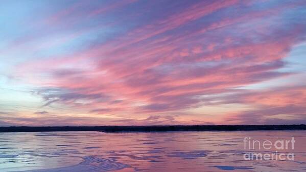 Branched Oak Lake Art Print featuring the photograph Reflections in Pink by Caryl J Bohn