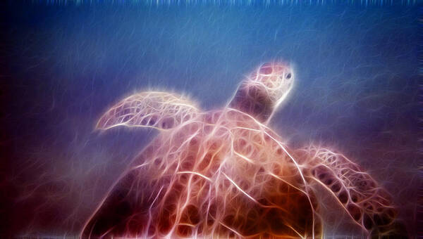 Turtle Art Print featuring the photograph Relentless Seeker fire version by Weston Westmoreland