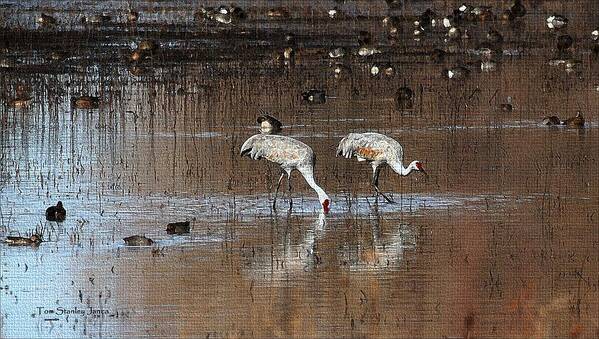 Sand Hill Cranes Dining At The Bosque Del Apache Art Print featuring the photograph Sand Hill Cranes Dining At The Bosque Del Apache by Tom Janca