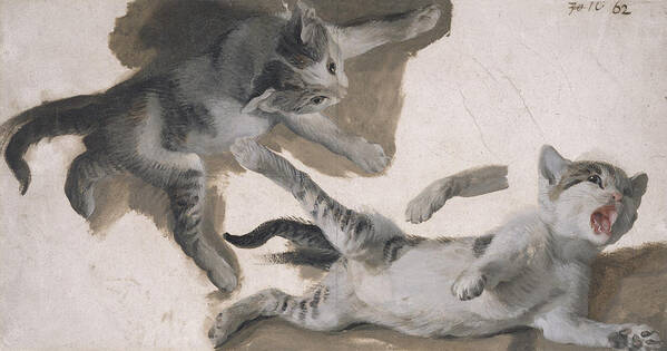 Cat Art Print featuring the drawing Sketches Of A Kitten by Alexandre-Francois Desportes