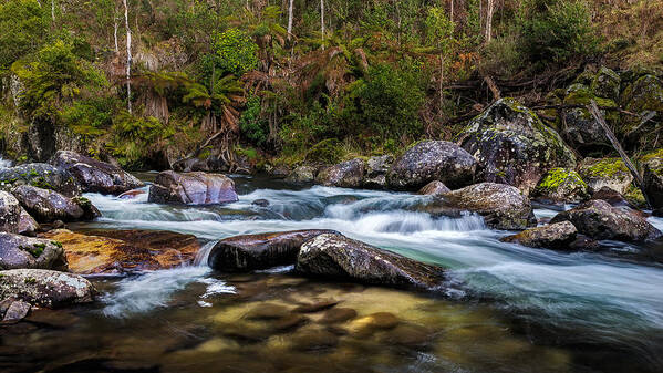 East Kiewa River Art Print featuring the photograph Smoothing Agent by Mark Lucey