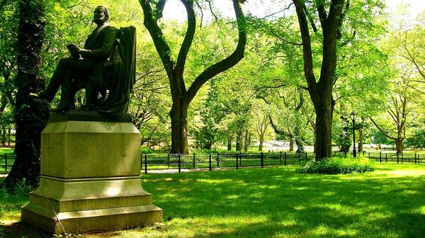 Central Park Prints Art Print featuring the photograph Summer in Central Park Manhattan by Monique Wegmueller