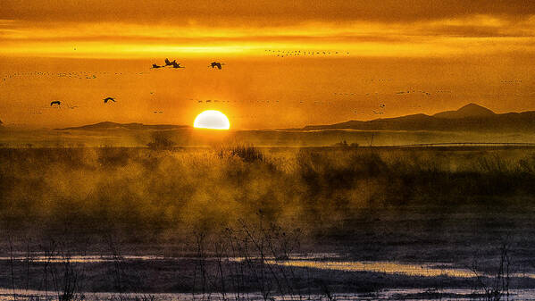 Sunrise Monta Vista Colorado Sandhill Cranes Flying Fog Mountains Water Stream Golden Orange Beautiful Art Print featuring the photograph Sunrise in Monta Vista Colorado by David Soldano