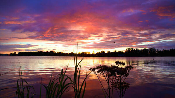 Alaska Art Print featuring the photograph Sunset at Lake Hood by Scott Slone