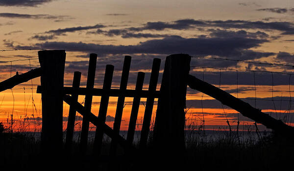 Gate Art Print featuring the photograph Sunset Gate by Inge Riis McDonald